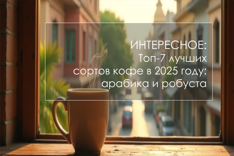 Топ-7 лучших сортов кофе в 2025 году: арабика и робуста