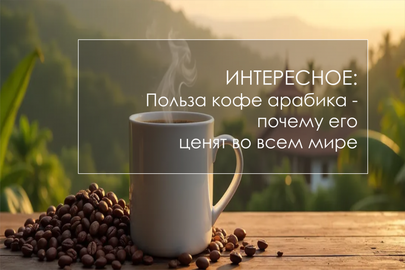 Польза кофе арабика - почему его ценят во всем мире